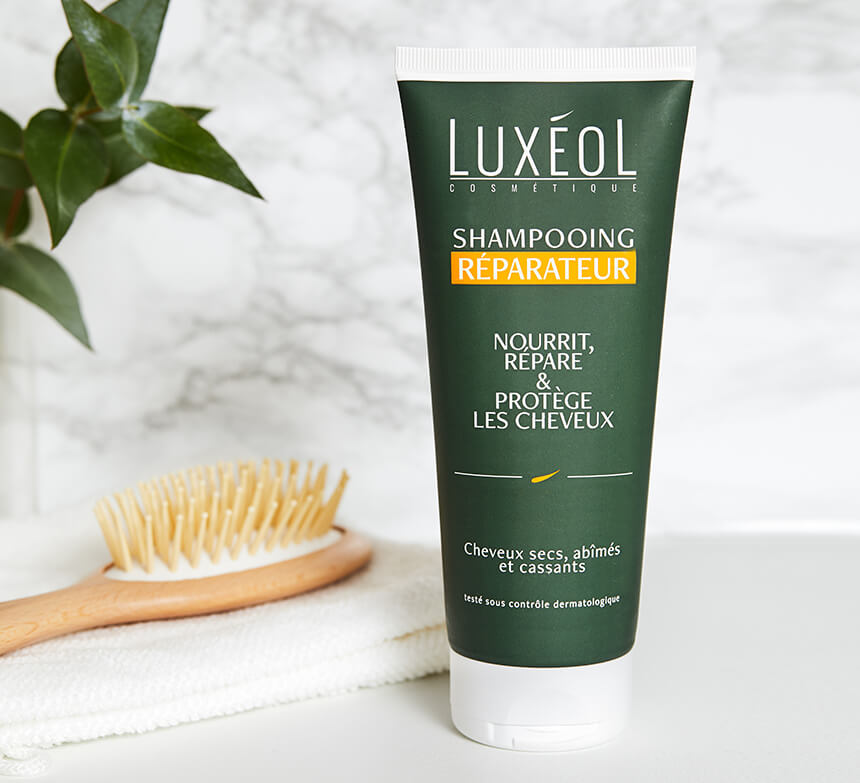 reparação de champôs