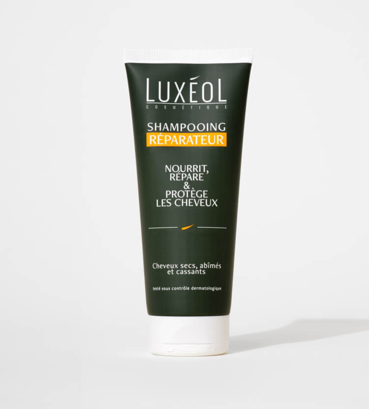 reparação de champôs